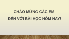 Giáo án Powerpoint Sinh trưởng và phát triển ở động vật Sinh học - KHTN 7 Cánh diều