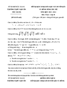 Đề thi HSG Toán 10 Trường THPT Chuyên Bắc Giang