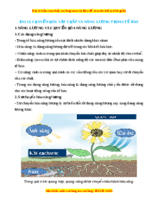 Lý thuyết Sinh học 10 Chân trời sáng tạo Bài 13: Chuyển hóa vật chất và năng lượng trong tế bào