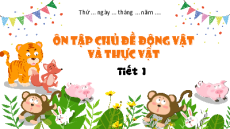 Giáo án Powerpoint Bài 19 Tự nhiên xã hội lớp 1 Kết nối tri thức: Ôn tập chủ đề thực vật và động vật