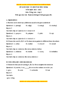 Đề thi giữa kì 1 Tiếng Anh 9 tỉnh Bắc Ninh 2021 - 2022