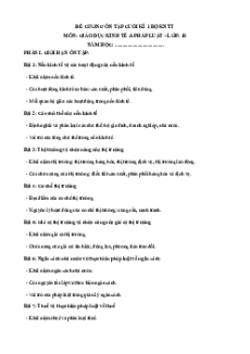 Đề cương ôn tập cuối học kì 1 Kinh tế pháp luật 10 Kết nối tri thức