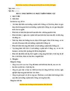 Giáo án Sinh trưởng và phát triển ở động vật Sinh học 11 Chân trời sáng tạo