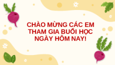 Giáo án Powerpoint Bài 9 KTPL 11 Cánh diều: Văn hóa tiêu dùng