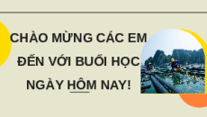 Giáo án Powerpoint chuyên đề Bài 6: Một số ứng dụng CNSH trong chọn, tạo giống thủy sản 12 Kết nối tri thức