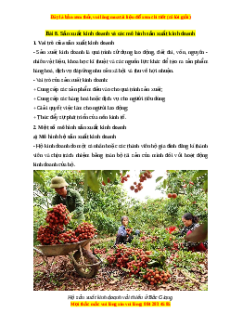 Lý thuyết Kinh tế pháp luật 10 Chân trời sáng tạo Bài 8: Sản xuất kinh doanh và các mô hình sản xuất kinh doanh