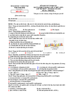 Đề thi thử tốt nghiệp Sinh học 2025 Sở Ninh Bình