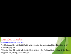 Bài giảng Powerpoint Ứng dụng sinh trưởng và phát triển ở sinh vật vào thực tiễn Sinh học - KHTN 7 Kết nối tri thức