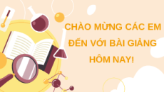 Giáo án Powerpoint Thực hành làm tiêu bản nhiễm sắc thể để quan sát quá trình nguyên phân, giảm phân ở tế bào thực vật, dộng vật Sinh học 10 Cánh diều