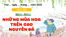 Giáo án Powerpoint Bài 8: Những mùa hoa trên cao nguyên đá Tiếng việt lớp 4 Chân trời sáng tạo