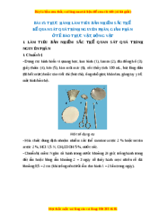 Lý thuyết Sinh học 10 Cánh diều Bài 15: Thực hành làm tiêu bản nhiễm sắc thể để quan sát quá trình nguyên phân, giảm phân ở tế bào thực vật, dộng vật