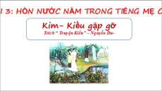 Giáo án Powerpoint Bài 3: Hồn nước nằm trong tiếng mẹ cha Ngữ văn 9 Kết nối tri thức