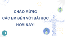 Bài giảng Powerpoint Sinh học 12 Kết nối tri thức