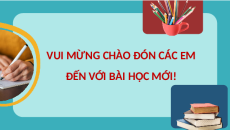 Giáo án Powerpoint Sinh học 10 Cánh diều: Ôn tập Phần 3 (trang 143, 144)