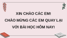 Giáo án Powerpoint Đọc: Trong ánh bình minh (trang 21, 22) Tiếng việt lớp 4 Chân trời sáng tạo (Phiên bản 2)