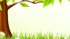 Giáo án Powerpoint Bài 17 Tự nhiên xã hội lớp 2 Chân trời sáng tạo: Thực hành tìm hiểu môi trường sống của thực vật và động vật