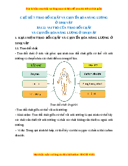 Lý thuyết Khoa học tự nhiên 7 Chân trời sáng tạo Bài 22: Vai trò của trao đổi chất và chuyển hóa năng lượng của sinh vật