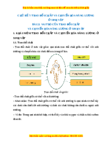 Lý thuyết Khoa học tự nhiên 7 Chân trời sáng tạo Bài 22: Vai trò của trao đổi chất và chuyển hóa năng lượng của sinh vật