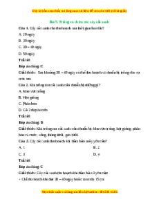 Trắc nghiệm Công nghệ 7 Bài 5 Chân trời sáng tạo: Trồng và chăm sóc cây cải xanh