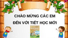 Giáo án Powerpoint Đọc mở rộng (trang 124) Tiếng việt lớp 4 Kết nối tri thức (Phiên bản 2)