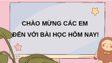 Giáo án Powerpoint Bài 3: Máy tính của em Tin học lớp 3 Kết nối tri thức