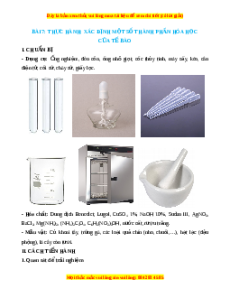 Lý thuyết Sinh học 10 Chân trời sáng tạo Bài 7: Thực hành: Xác định một số thành phần hóa học của tế bào