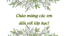 Giáo án Powerpoint Thực hành đọc: Tiếp xúc với tác phẩm Ngữ văn 11 Kết nối tri thức