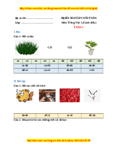 Bài tập cuối tuần Tiếng việt lớp 1 Tuần 2 Cánh diều (có lời giải)