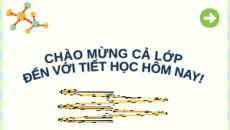 Giáo án Powerpoint Bài 2: Sự biểu hiện thông tin di truyền Sinh học 12 Cánh diều