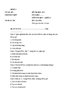 Đề thi Cuối kì 1 Tin học 12 Cánh diều (Đề 3)