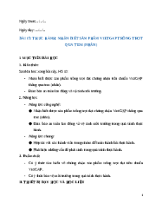 Giáo án chuyên đề Bài 15: Thực hành Nhận biết sản phẩm VietGAP Công nghệ trồng trọt 10 Kết nối tri thức