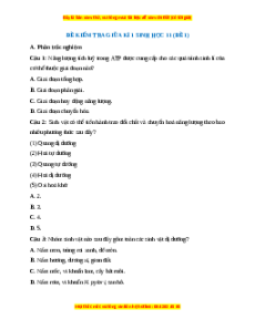 Đề thi giữa kì 1 Sinh học 11 Chân trời sáng tạo (đề 2)