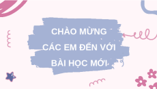 Giáo án Powerpoint Hình hộp chữ nhật và hình lập phương Toán 7 Kết nối tri thức