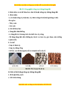 Lý thuyết Bài 25: Công nghệ trồng cây không dùng đất