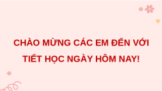 Giáo án Powerpoint Tuần 24 HĐTN lớp 4 Chân trời sáng tạo