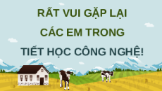 Giáo án Powerpoint Chuyên đề Bài 11: Giới thiệu về chăn nuôi theo tc VietGAP Công nghệ chăn nuôi 11 Kết nối tri thức