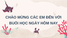 Giáo án Powerpoint Bài 15: Nuôi cá ao Công nghệ 7 Kết nối tri thức