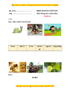 Bài tập cuối tuần Tiếng việt lớp 1 Tuần 16 Cánh diều (có lời giải)