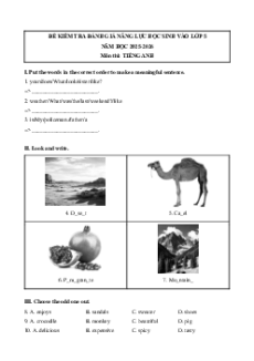 Bộ 3 đề thi khảo sát chất lượng đầu năm Tiếng anh 5 năm 2025 (có đáp án)