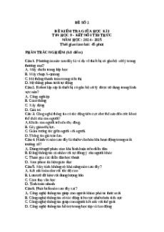 Đề thi giữa kì 1 Tin học 9 Kết nối tri thức (Đề 2)