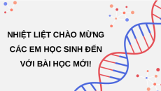 Giáo án Powerpoint Bài 40: Dịch mã và mối quan hệ từ gene đến tính trạng KHTN 9 Kết nối tri thức