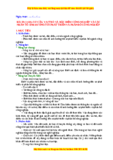Giáo án Bài 29 Địa lí 10 Chân trời sáng tạo (2024): Cơ cấu, vai trò và đặc điểm công nghiệp, các nhân tố ảnh hưởng tới phát triển và phân bố công nghiệp