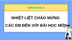 Giáo án Powerpoint Ôn tập chủ đề Năng lượng Khoa học lớp 5 Cánh diều