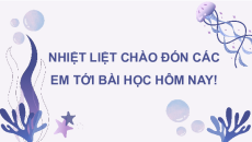 Giáo án Powerpoint Bài 21 Sinh học 11 Chân trời sáng tạo: Sinh trưởng và phát triển ở động vật