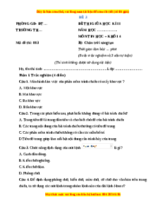 Đề thi giữa kì 2 Tin học lớp 4 Chân trời sáng tạo (Đề 3)