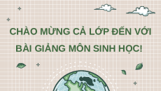 Giáo án Powerpoint Bài 19: Sự phát triển sự sống Sinh học 12 Chân trời sáng tạo