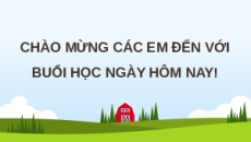 Giáo án Powerpoint Bài 14 Địa lí 12 Chân trời sáng tạo: Tổ chức lãnh thổ nông nghiệp