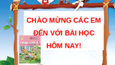 Giáo án Powerpoint Viết: Viết đoạn văn nêu tình cảm, cảm xúc về một nhân vật trong văn học (trang 27) Tiếng việt lớp 4 Kết nối tri thức (Phiên bản 2)