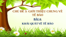 Giáo án Powerpoint Bài 4: Sinh học 10 Cánh diều: Khái quát về tế bào