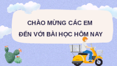 Giáo án Powerpoint Vai của trao đổi chất và chuyển hoá năng lượng ở sinh vật Sinh học - KHTN 7 Cánh diều